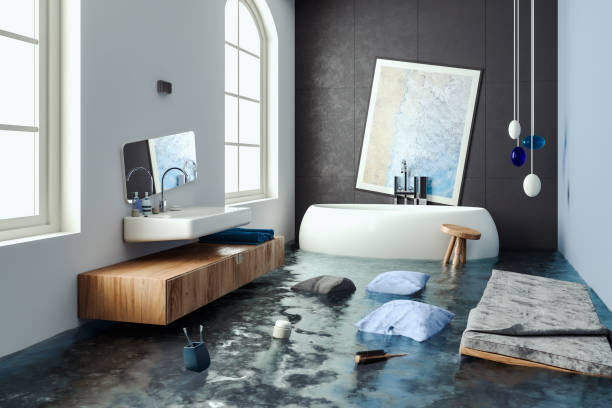 Best Professional water damage repair  in Loyalhanna, PA