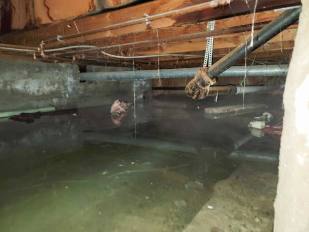 Best 24/7 water damage repair  in Loyalhanna, PA