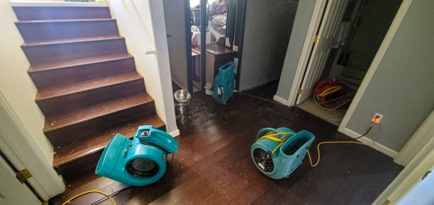 Water damage restoration insurance claims in Loyalhanna, PA
