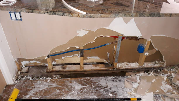 Best Sewage cleanup and water damage restoration  in Loyalhanna, PA