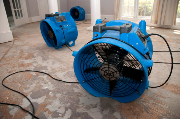 Best Residential water damage restoration  in Loyalhanna, PA