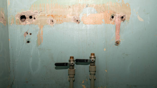 Best 24-hour water damage restoration  in Loyalhanna, PA