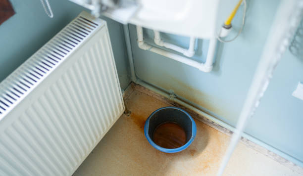 Best Mold removal after water damage  in Loyalhanna, PA
