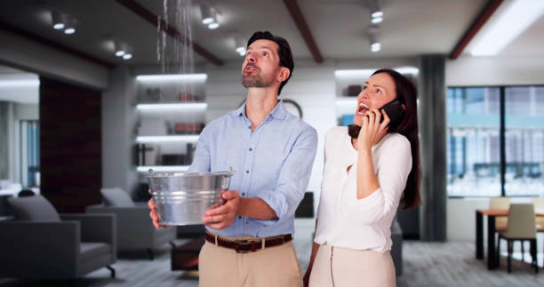 Best Ceiling water damage repair  in Loyalhanna, PA